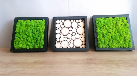 Tryptyk z mchu chrobotka i plastrów drewna, 27x27 cm