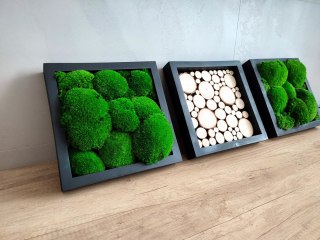 Tryptyk z mchu poduszkowego i plastrów drewna, 27x27 cm