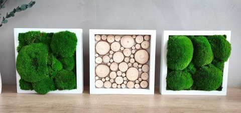 Tryptyk z mchu poduszkowego i plastrów drewna, 27x27 cm