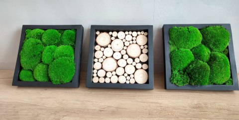 Tryptyk z mchu poduszkowego i plastrów drewna, 40x40