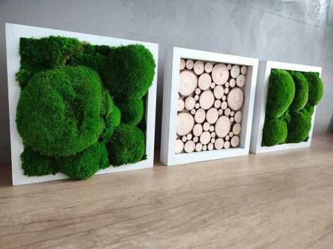 Tryptyk z mchu poduszkowego i plastrów drewna, 40x40