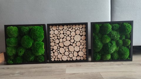 Tryptyk z mchu poduszkowego i plastrów drewna, 40x40