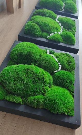 Tryptyk z mchu poduszkowego w ramach 27x27 cm