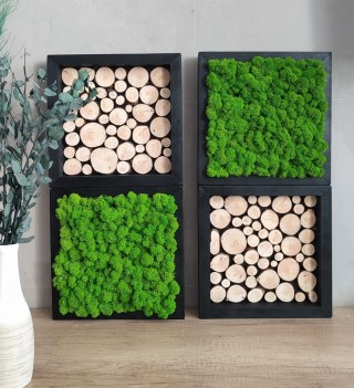 Zestaw ram z mchem i plastrami drewna, 27x27 cm