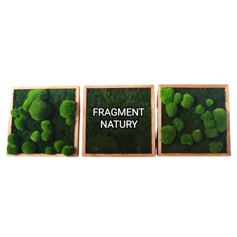 Zestaw trzech dębowych ram z mchem płaskim I poduszkowym