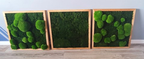 Zestaw trzech dębowych ram z mchem płaskim I poduszkowym