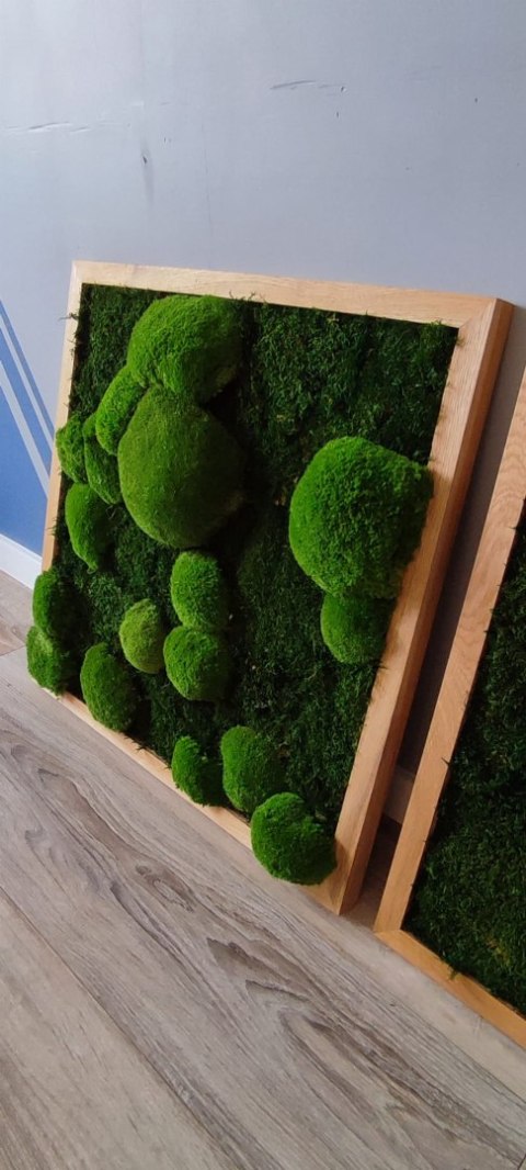 Zestaw trzech dębowych ram z mchem płaskim I poduszkowym