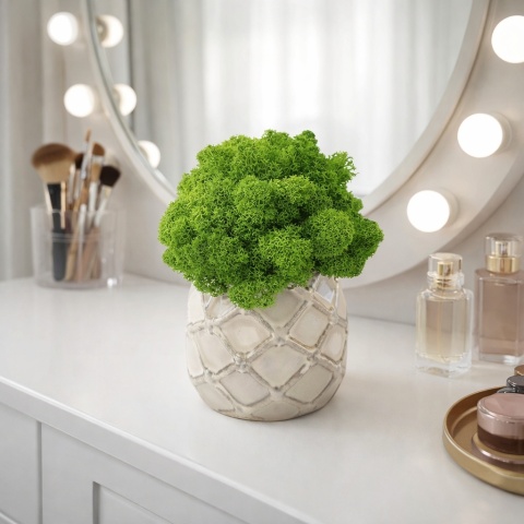 Doniczka ceramiczna z mchem chrobotkiem