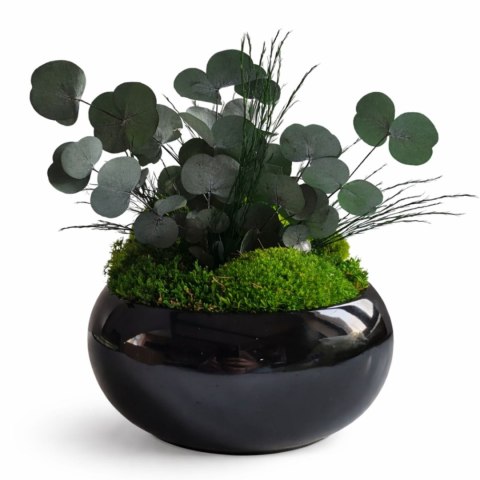 Doniczka z mchem i eukaliptusem