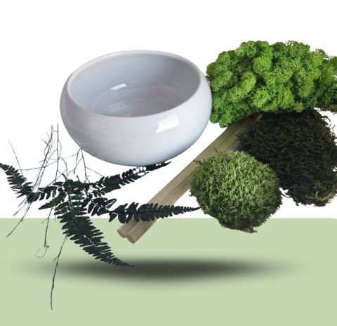 Doniczka z mchem i roślinami - zrób to sam diy