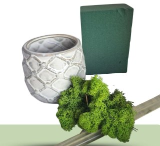 Doniczka z mchem - zrób to sam diy