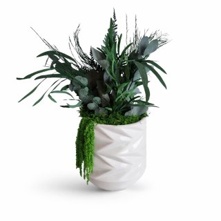 Doniczka z roślinami stabilizowanymi