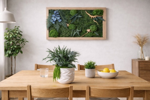 Doniczka z roślinami stabilizowanymi