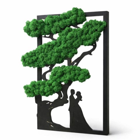 drzewko bonsai para młoda