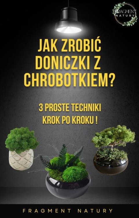 E-book Jak zrobić Doniczkę z chrobotkiem ?