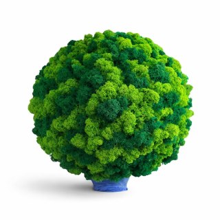 Kula z mchu chrobotka, 35 cm