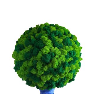 Kula z mchu chrobotka, 35 cm