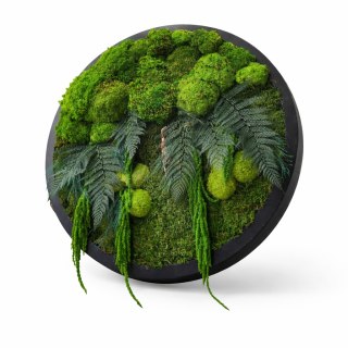 Leśny obraz z mchu i roślin stabilizowanych 80 cm