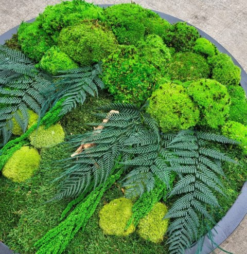 Leśny obraz z mchu i roślin stabilizowanych 80 cm