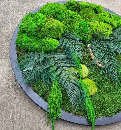 Leśny obraz z mchu i roślin stabilizowanych 80 cm