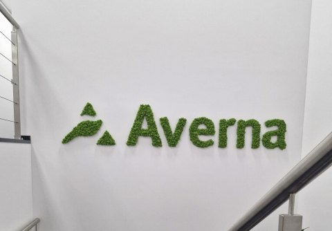 Napis z mchu chrobotka, logo firmy z mchu