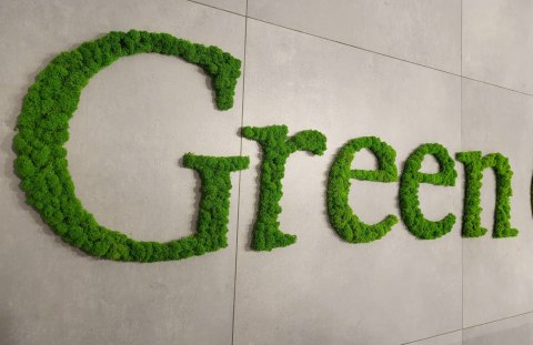 Napis z mchu chrobotka, logo firmy z mchu