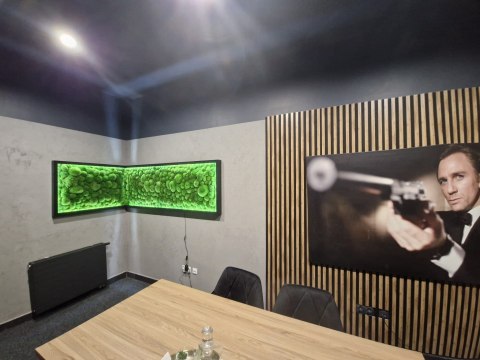 Narożny obraz z mchu poduszkowego na dowolny wymiar