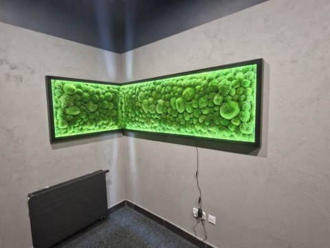 Narożny obraz z mchu poduszkowego na dowolny wymiar