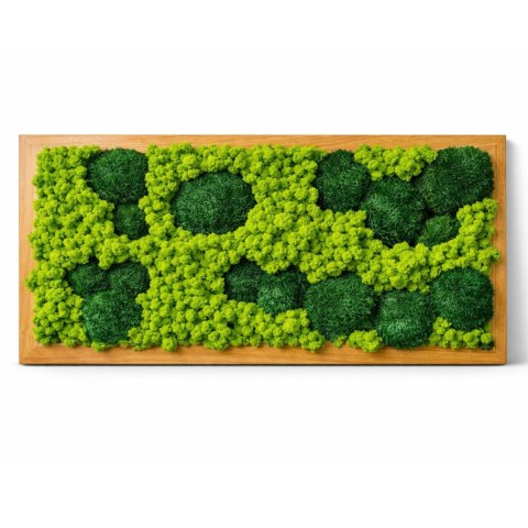 Obraz z mchu w dębowej ramie 