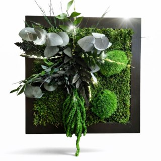 Obraz z mchu i roślin stabilizowanych 27x27