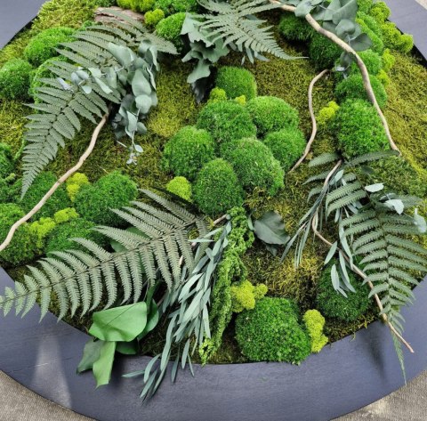 Obraz z mchu i roślin stabilizowanych 95 cm