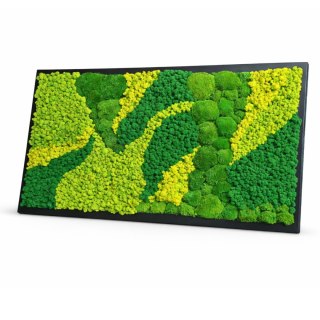 Obraz z mchu poduszkowego I chrobotka