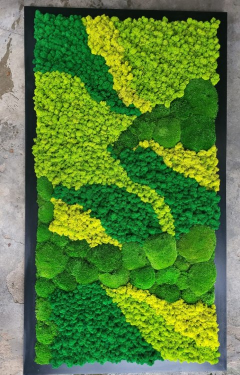 Obraz z mchu poduszkowego I chrobotka