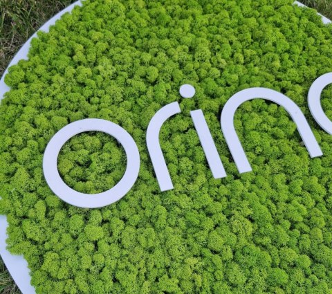 Obraz z mchu z Twoim logo, 85 cm