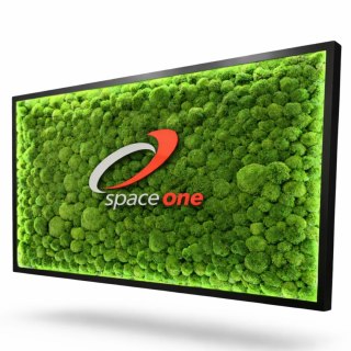 Obraz z mchu z Twoim logo, obraz z logo firmy z podświetleniem LED