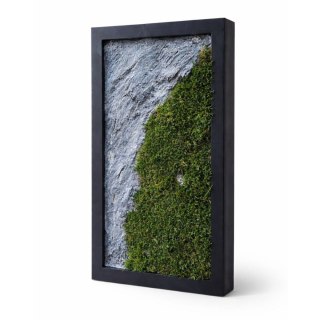 Obraz z mchu z efektem skał, 60x40 cm