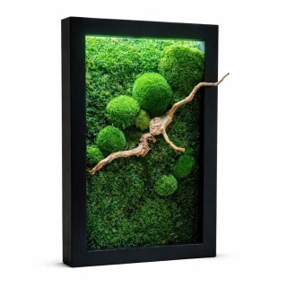 Obraz z mchu z podświetleniem LED
