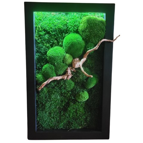 Obraz z mchu z podświetleniem LED