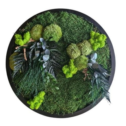 Okrągły obraz z mchu I roślin stabilizowanych, 60 cm