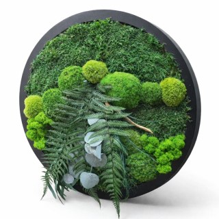 Okrągły obraz z mchu i roślin stabilizowanych, 50 cm