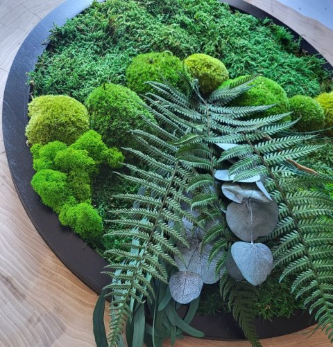 Okrągły obraz z mchu i roślin stabilizowanych, 50 cm