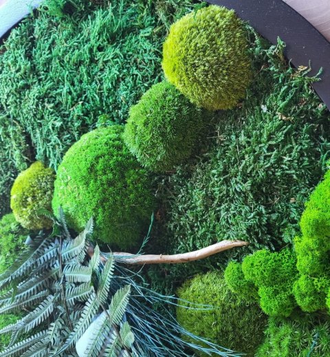 Okrągły obraz z mchu i roślin stabilizowanych, 50 cm