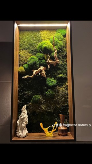 Panel ścienny z mchu płaskiego I poduszkowego z korzeniem japońskim