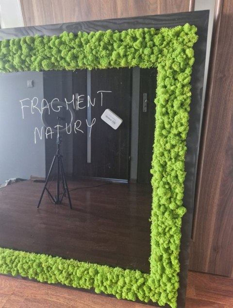 Tablica magnetyczna z chrobotkiem ! Biophilic desing