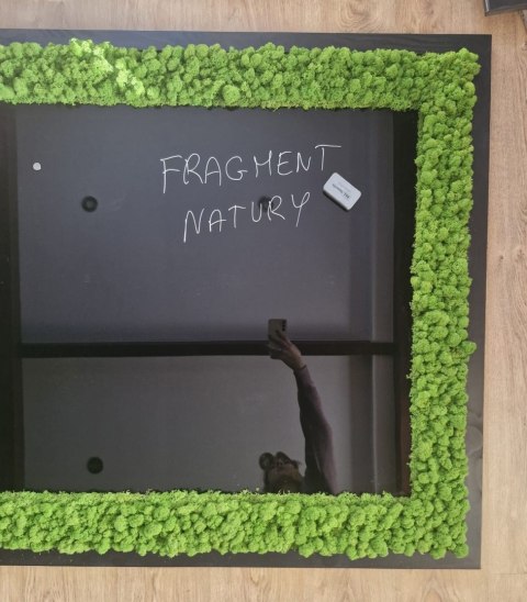 Tablica magnetyczna z chrobotkiem ! Biophilic desing