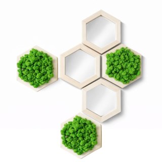 Zestaw heksagonów z mchem chrobotkiem z lustrami