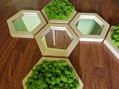 Zestaw heksagonów z mchem chrobotkiem z lustrami